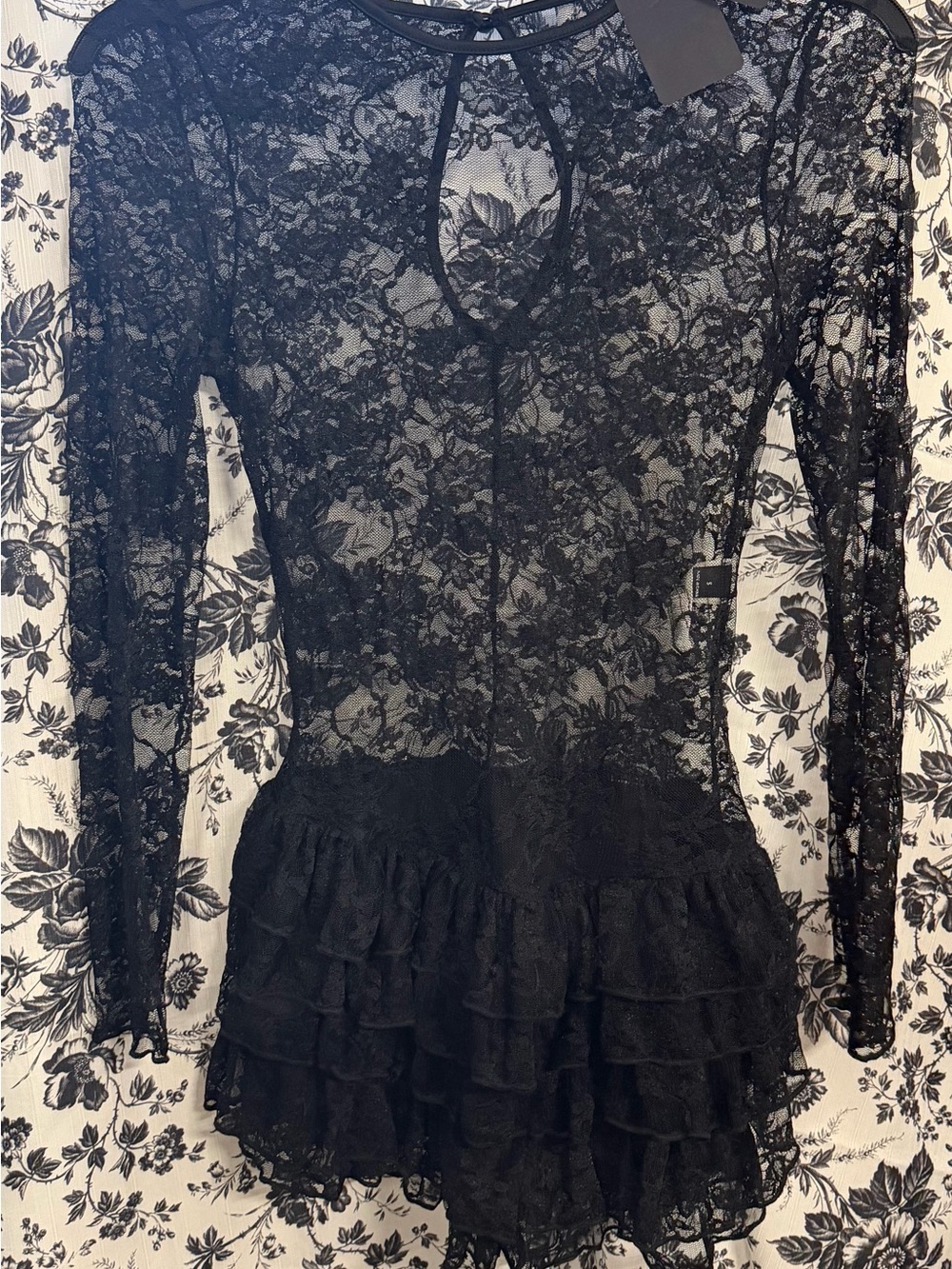 Fashion Nova Black Sheer Lace Long-Sleeve Ruffle Mini Dress